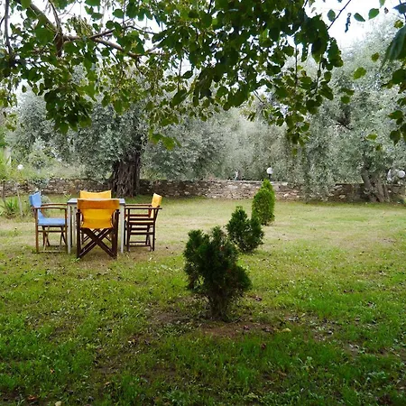 Apartament Blue Sky Skala Potamia